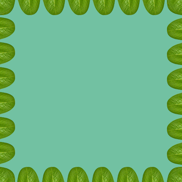 220387533