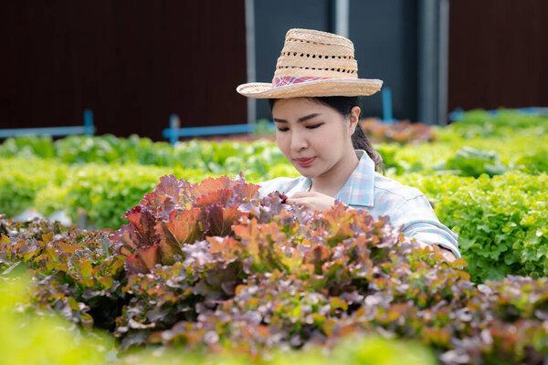 218967432